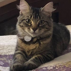 Meet your Posher, Luvia